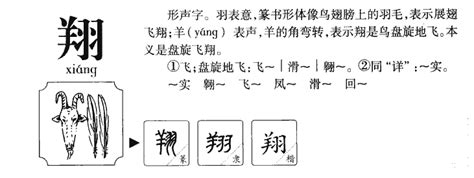 翔五行|翔字五行属什么